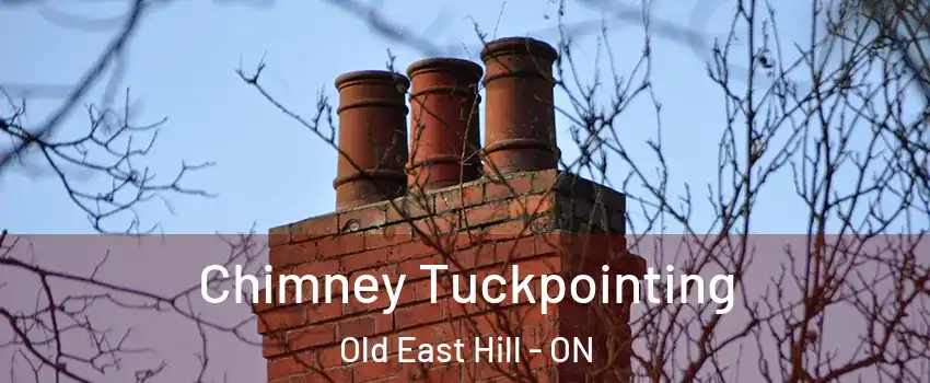  Chimney Tuckpointing Old East Hill - ON