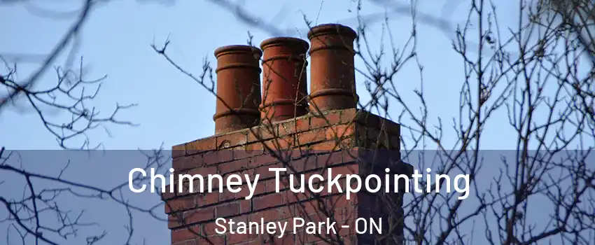  Chimney Tuckpointing Stanley Park - ON