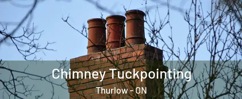  Chimney Tuckpointing Thurlow - ON