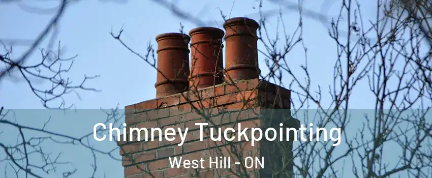 Chimney Tuckpointing West Hill - ON