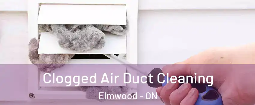  Clogged Air Duct Cleaning Elmwood - ON