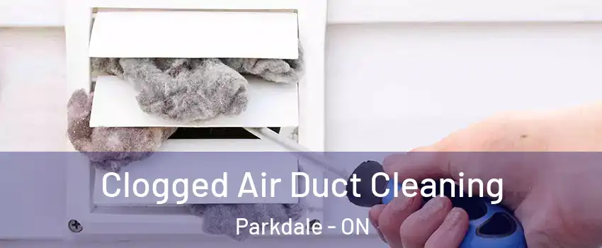  Clogged Air Duct Cleaning Parkdale - ON