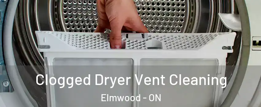  Clogged Dryer Vent Cleaning Elmwood - ON