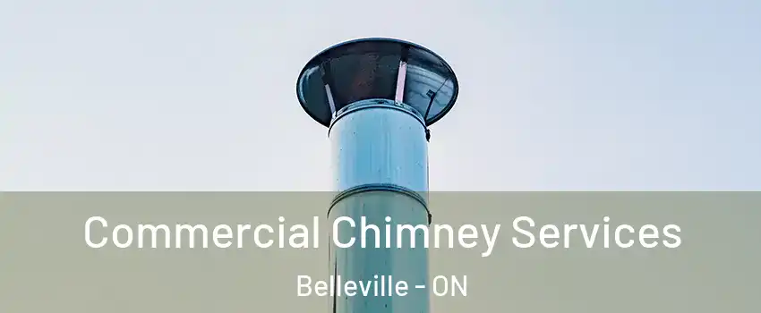  Commercial Chimney Services Belleville - ON