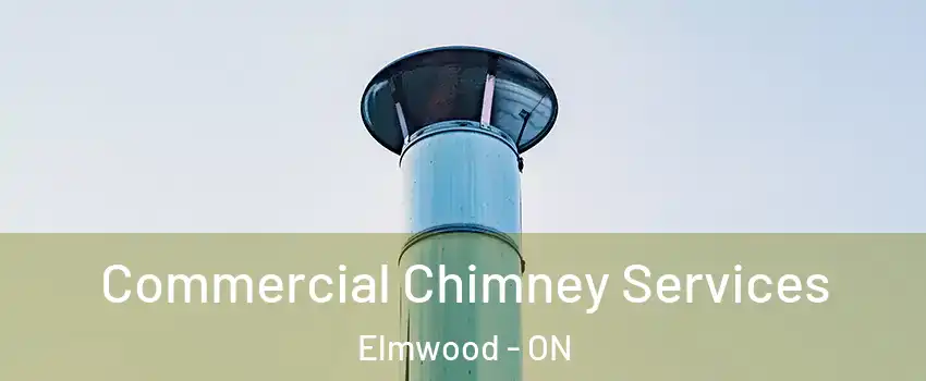 Commercial Chimney Services Elmwood - ON