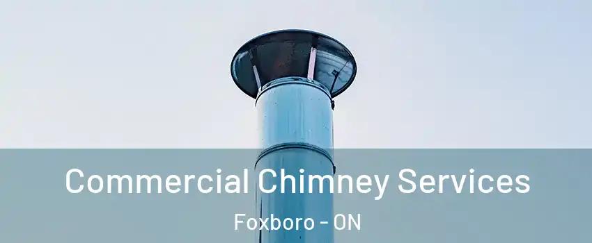  Commercial Chimney Services Foxboro - ON