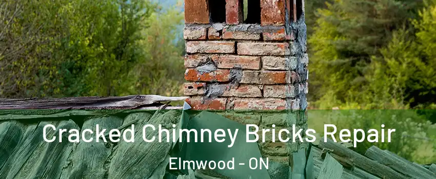  Cracked Chimney Bricks Repair Elmwood - ON