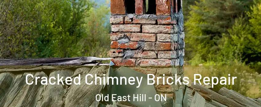  Cracked Chimney Bricks Repair Old East Hill - ON