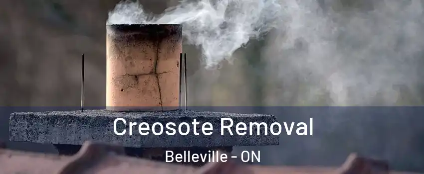  Creosote Removal Belleville - ON