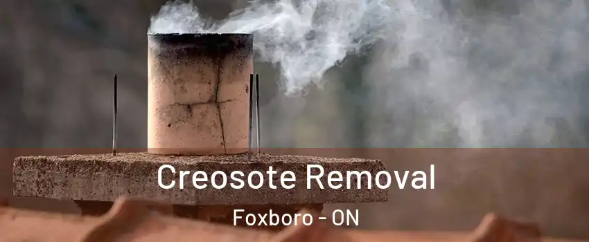 Creosote Removal Foxboro - ON
