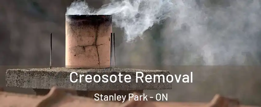 Creosote Removal Stanley Park - ON