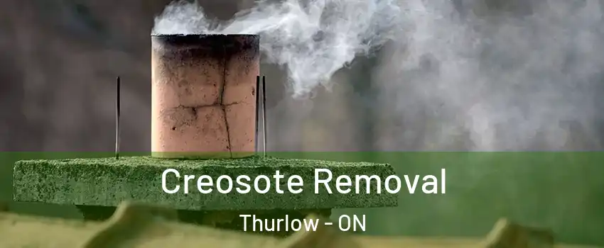 Creosote Removal Thurlow - ON