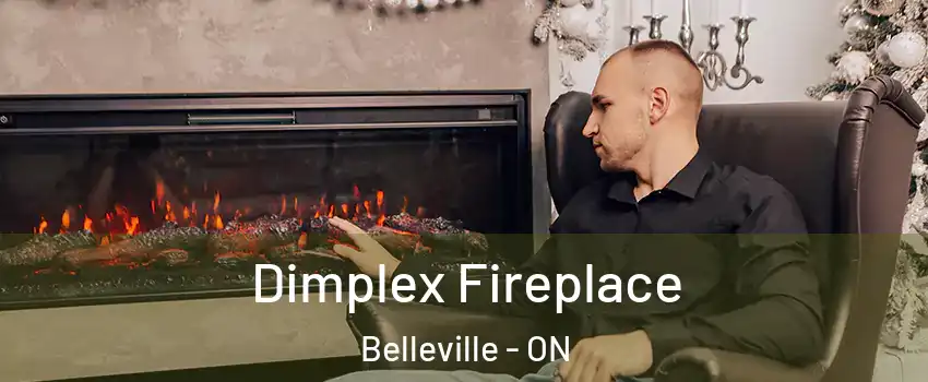  Dimplex Fireplace Belleville - ON
