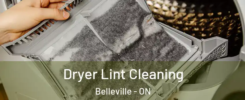  Dryer Lint Cleaning Belleville - ON