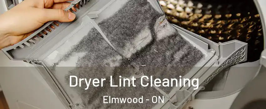  Dryer Lint Cleaning Elmwood - ON