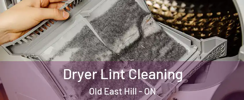  Dryer Lint Cleaning Old East Hill - ON