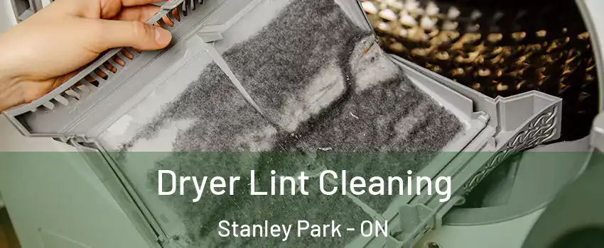  Dryer Lint Cleaning Stanley Park - ON