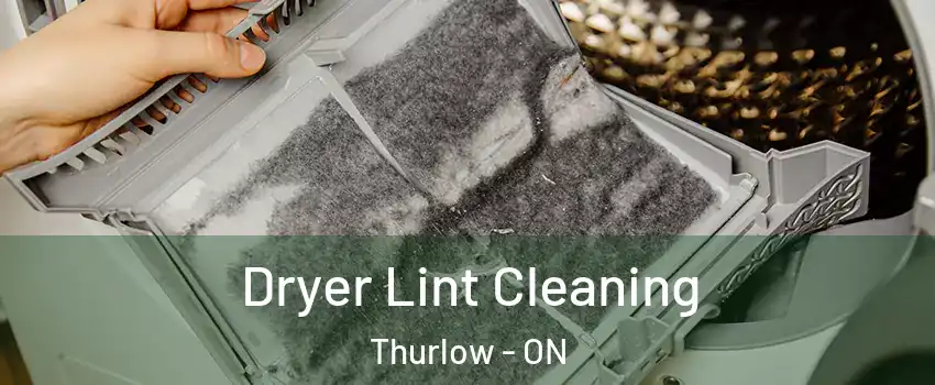  Dryer Lint Cleaning Thurlow - ON