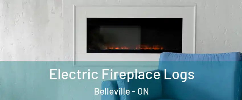 Electric Fireplace Logs Belleville - ON