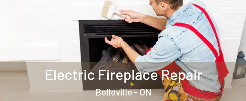  Electric Fireplace Repair Belleville - ON