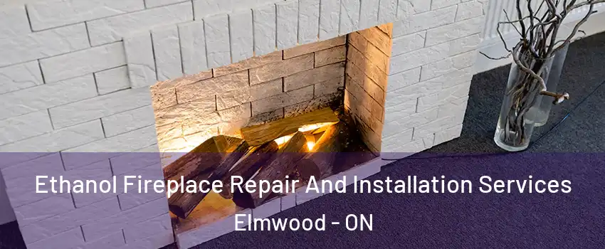  Ethanol Fireplace Repair And Installation Services Elmwood - ON