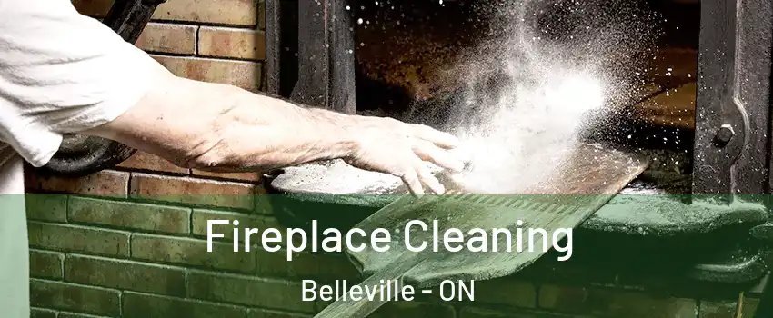  Fireplace Cleaning Belleville - ON
