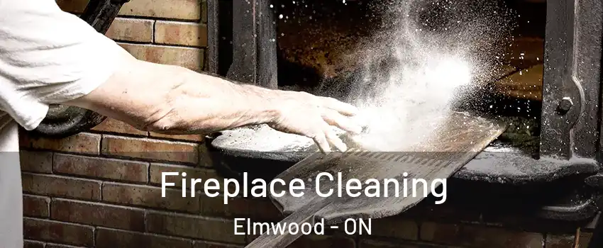  Fireplace Cleaning Elmwood - ON