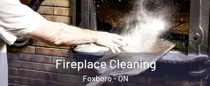  Fireplace Cleaning Foxboro - ON
