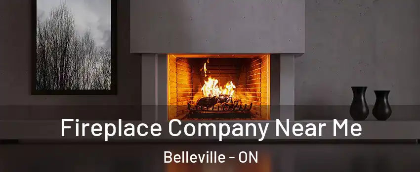Fireplace Company Near Me Belleville - ON