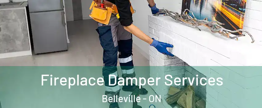  Fireplace Damper Services Belleville - ON