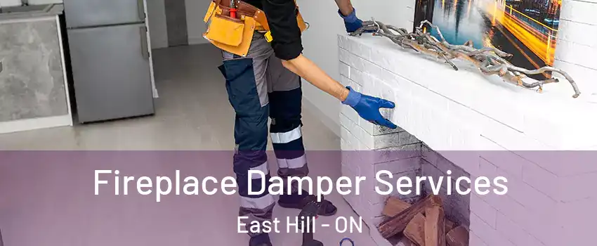  Fireplace Damper Services East Hill - ON