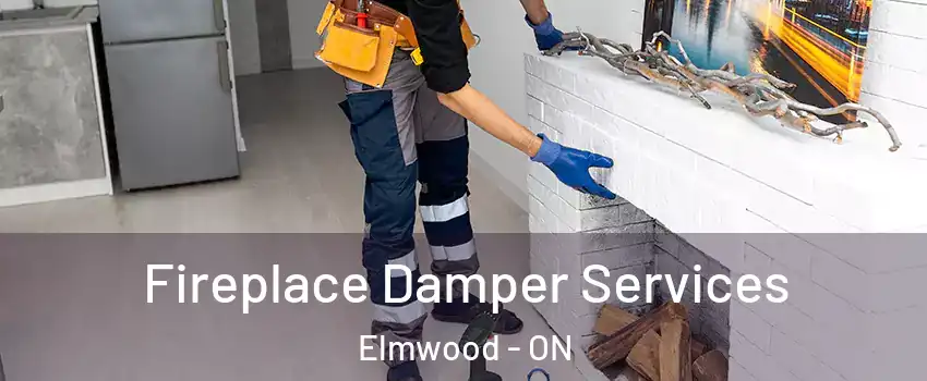  Fireplace Damper Services Elmwood - ON