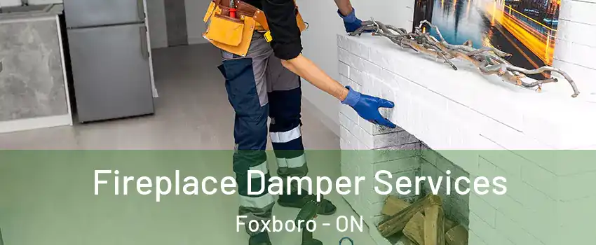  Fireplace Damper Services Foxboro - ON