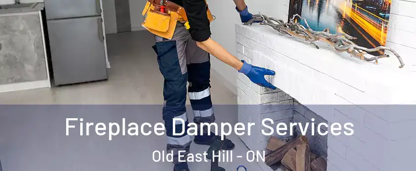 Fireplace Damper Services Old East Hill - ON