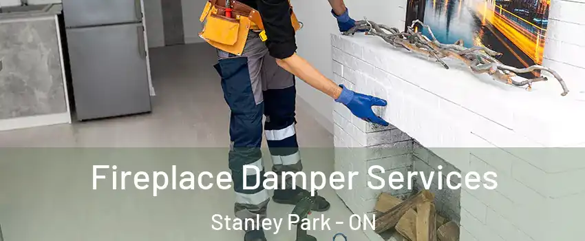  Fireplace Damper Services Stanley Park - ON