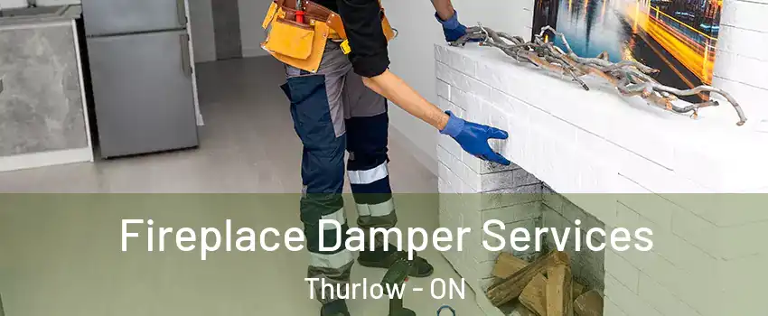  Fireplace Damper Services Thurlow - ON