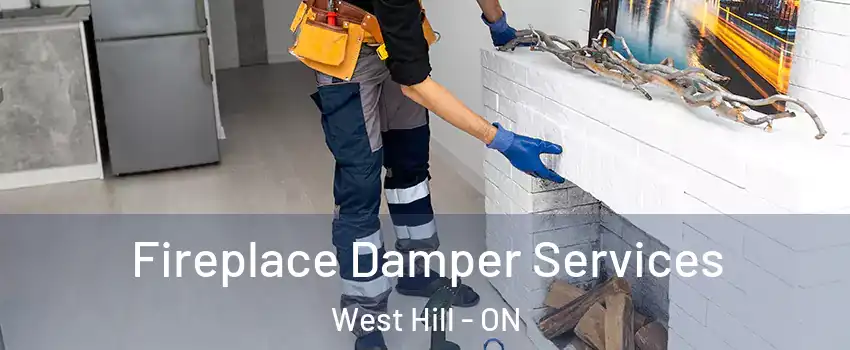  Fireplace Damper Services West Hill - ON