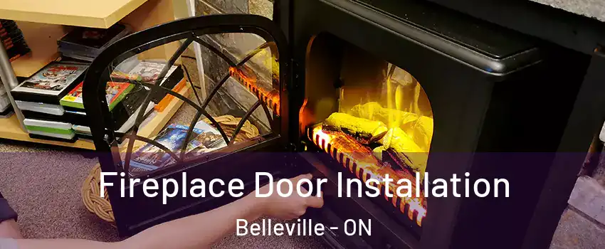  Fireplace Door Installation Belleville - ON