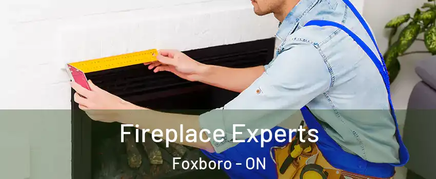  Fireplace Experts Foxboro - ON