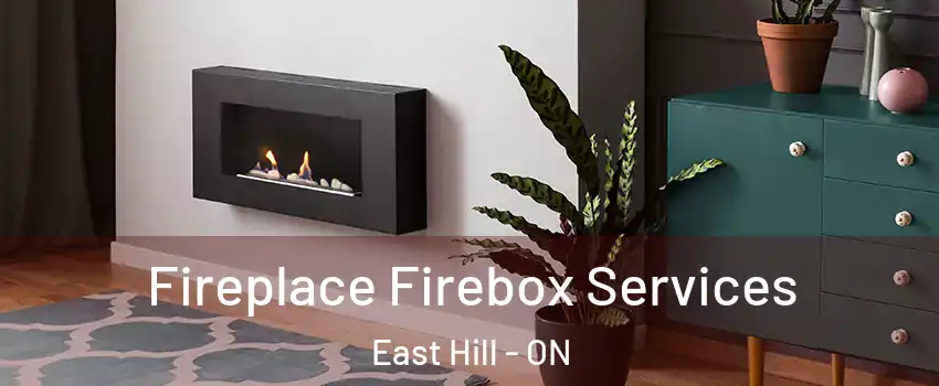  Fireplace Firebox Services East Hill - ON