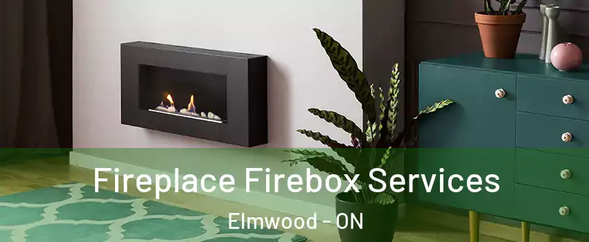  Fireplace Firebox Services Elmwood - ON