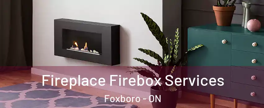  Fireplace Firebox Services Foxboro - ON