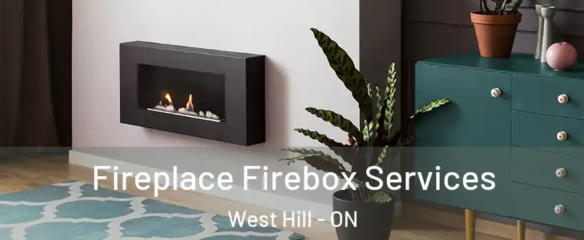  Fireplace Firebox Services West Hill - ON