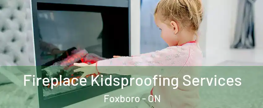 Fireplace Kidsproofing Services Foxboro - ON