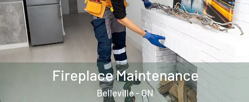  Fireplace Maintenance Belleville - ON
