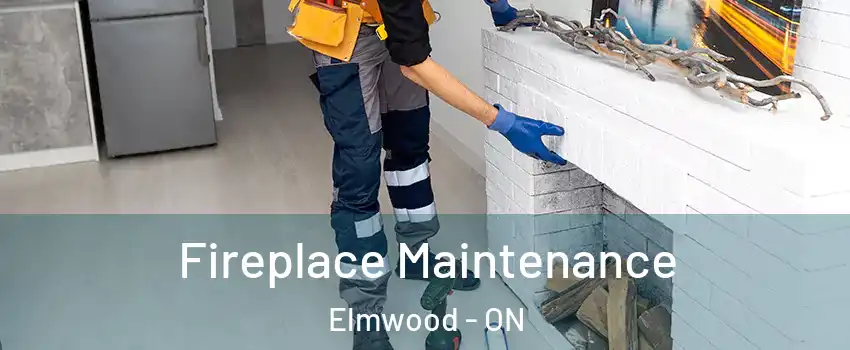  Fireplace Maintenance Elmwood - ON