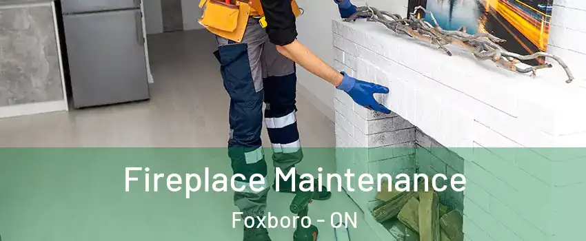 Fireplace Maintenance Foxboro - ON