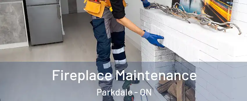  Fireplace Maintenance Parkdale - ON