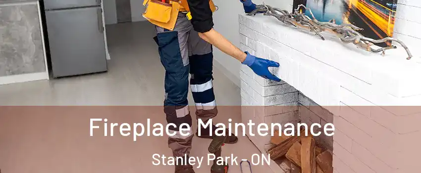  Fireplace Maintenance Stanley Park - ON