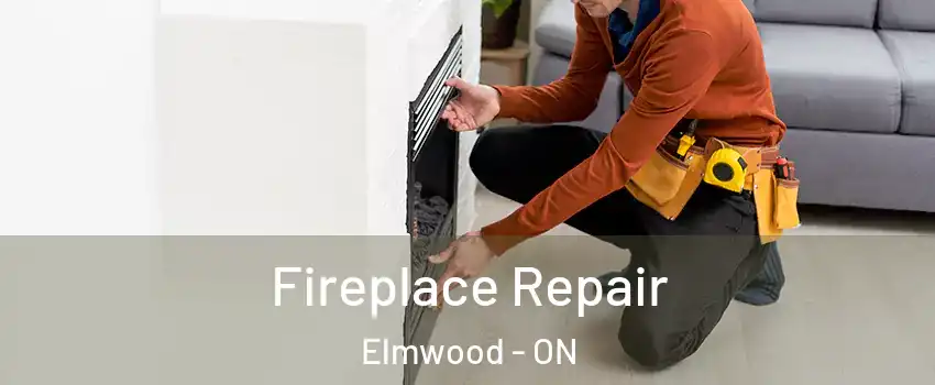 Fireplace Repair Elmwood - ON